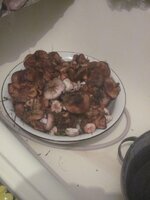 Изображение 502.jpg