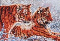 Anchor APC926 Siberian Gold.JPG