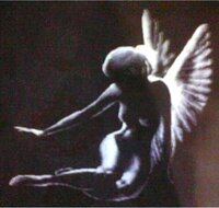 25.Тень ангела №2..jpg