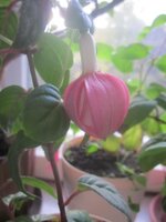 Изображение 536.jpg