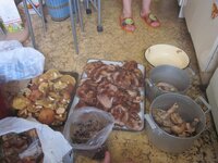 Изображение 33273.jpg