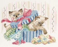 BK888  Curiosity, DMC.jpg