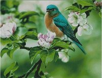 на яблоневой ветке.jpg