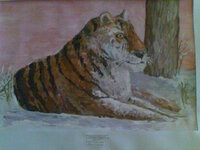 Поворот Фото017.jpg