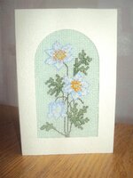 03_лесной анемон 01.jpg