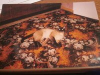 Изображение 2849.jpg