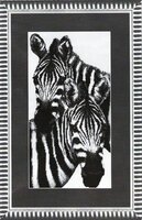 Charivna Mit 287.jpg