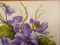 2016-06-05 09-52-58.jpg