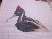 Изображение 397.jpg