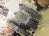 Изображение 1811.jpg