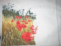 Ru-sana Маковое поле от Anchor 06.01.2012.jpg