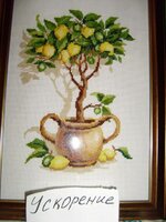 15.01.12 ускорение.jpg