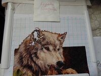 девочка Енот 19.04.15.jpg