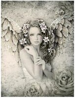 JESSICA GALBRETH - Primrose (large format).JPG