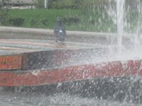 Изображение 31566.jpg