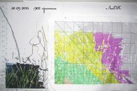 IMG_2901 копия.jpg