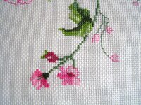 01_шиповник 04.jpg