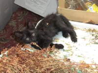 Изображение 004.jpg