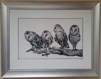 HAEKAP 293 Barn Owls by Kate Powell.jpg