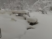 2012-04-05 08.00.35.jpg