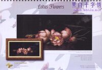 MJH-001 Lotus Flowers.jpg