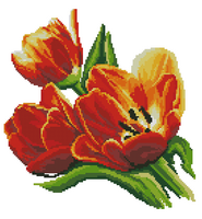 Тюльпаны..png