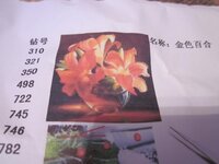 Изображение 1207.jpg