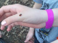 Изображение 132.jpg