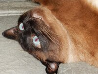 2014-06-22 10-34-06.jpg