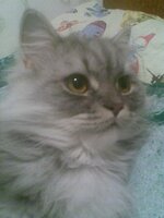 фото с телефона 086.jpg