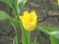 Изображение 31574.jpg