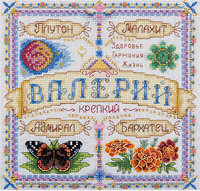 Картинка будущей вышивки..jpg