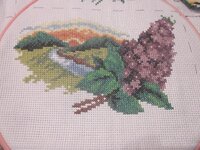 Изображение 583.jpg