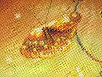 IMG_1951 [Разрешение рабочего стола].JPG