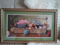 2012-07-21 12.46.24.jpg