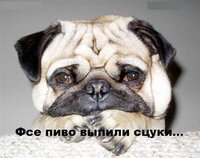 пїЅпїЅпїЅпїЅпїЅпїЅпїЅ 017.jpg