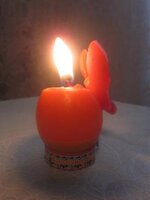 Изображение 31367.jpg