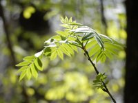 2014-05-08 11-00-10.jpg