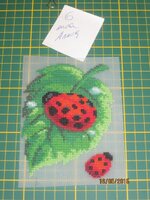 Изображение 2620.jpg