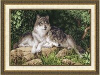 Лесные хищники.jpg