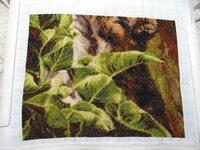 Волки девочка Енот 01.03.15.jpg