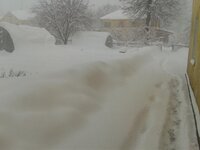 2012-04-05 08.01.02.jpg