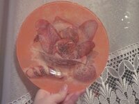 Изображение 31395.jpg