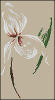 DMC-XC1131A-Orchid.jpg