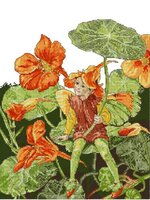 DMC_K5207_Nasturtium_Fairy.JPG