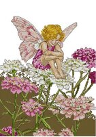 DMC_K5211_Candytuft_Fairy.JPG