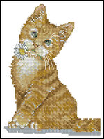 DMC_K5423_Ginger_Kitten.jpg