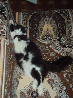 DSC03508.jpg