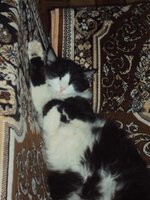 DSC03509.jpg