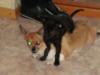 DSC04552.jpg